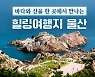 바다와 산을 한 곳에서 만나는 힐링여행지 울산