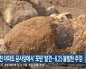 춘천 아파트 공사장에서 '포탄' 발견..6.25 불발탄 추정