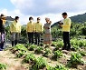 김명기 횡성군수, 둔내면 우박 피해 농가 방문