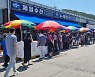 오징어 풍어에 깜짝.. 충남 태안 '신진항'에 몰린 소비자들