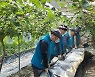 [포토] 한국원자력환경공단 임직원, 충남 부여서 수해 복구 지원 동참