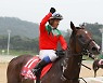 2주 앞으로 다가온 마사회 국제경주 '코리아컵·코리아스프린트'..위상도 관심도 '동반성장'