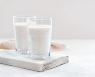 우리나라 소비자 대다수가 선택한 우유는?