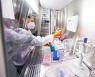 유럽의약품청, 원숭이두창 백신 관련 새 기술 승인.."20% 용량으로 항체 형성"