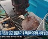 고성군 거진항 인근 멸종위기종 푸른바다거북 사체 발견