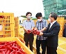 영양군, 올해산 홍고추 수매 추진..신청 농가 증가