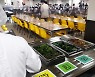 경기도교육청, 학생 자율형 카페테리아식 급식 시범학교 운영