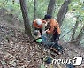 영월서 송이버섯 채취 중 굴러 떨어진 60대 병원 이송