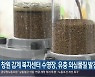 창원 감계 복지센터 수영장, 유충 의심물질 발견