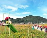 청송군, '청송정원' 백일홍 단지 소문내기 이벤트 시행