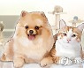 광주 첫 동물화장장 도시계획 심의, 주민 반발 속 연기