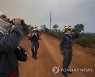 Brazil Fires