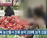"충북 농산물서 잔류 농약 200배 넘게 검출"