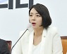 '문화재청→국가유산청'..배현진, 국가유산체제 패키지 법안 발의