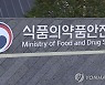 식약처, '레트로바이러스 유전자치료제 평가 가이드라인' 내놔