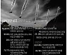 [그래픽] 대북전단 살포 관련 주요 일지