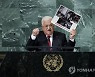 UN General Assembly Palestine