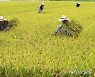 공익직불제 농지요건 완화..혜택 받는 농업인 56만 명 늘어