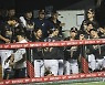 '아직 안 끝났어' NC, 가을야구 희망 불꽃 재점화