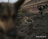 러시아군 포탄 파편 수집하는 우크라이나 경찰