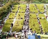 [포토] 메뚜기잡기