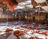 USA HURRICANE IAN AFTERMATH