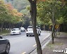 마스크 없는 가을나들이 "홀가분"..황금연휴 대구 팔공산 붐벼
