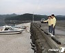 마산만 해안 청어 19톤 집단폐사..창원시 원인규명 나서