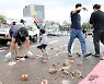 [포토] 적재물 치우는 시민들