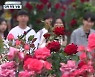 3년 만의 대학 축제..지역민과 함께