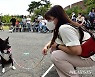기다림의 미학, 반려동물 기다려 대회