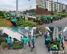 '5색 빛깔' 국화향기 김포가을 물들이다