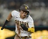 김하성, 3타수 1안타..샌디에이고 7-4 승리