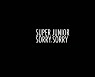 슈퍼주니어 메가 히트곡 '쏘리 쏘리' 리마스터 MV 공개 화제