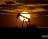 OPEC+ 하루 200만 배럴 감산 합의.."WTI 배럴당 87$로 뛰어"