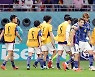 일본 살린 도안
