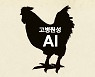 [속보] 경기 평택 산란계농장서 AI 항원 검출