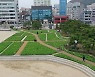 광안리 해변 청보리, 바다가 되다
