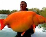 어마어마하네...사투 끝에 잡은 30kg 초대형 금붕어