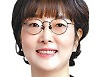 이태원 조사, 세월호 조사 실패부터 돌아보라[오늘과 내일/이진영]