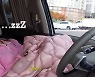 '임창정♥' 서하얀, 육아하고 차에서 기절…다섯아들맘의 현실 (서하얀)
