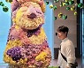 최태준, ♥박신혜가 찍어줬나…아들 아빠의 잘생김 근황