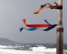 동해안 강풍 특보… 항공기 운항 차질·정전으로 불편