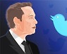 일론 머스크의 트위터, 규제에는 '소극적'... 화두로 올라온 표현의자유와 민주주의