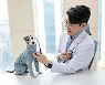 설채현 수의사 “반려견, 삼겹살 먹으면 급성 췌장암 걸리기도” 경고(컬투쇼)