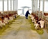 [AsiaNet] 신청현, 축산업으로 농촌 활성화 확대