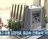 대구 유통 김장재료, 중금속·잔류농약 ‘적합’