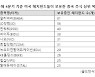 미 헤지펀드들, 중국 주식 저점매수..일각선 "매수 시점 이르다"