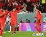 손흥민, 조규성 동점골에 주먹 불끈 [사진]
