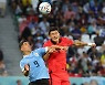 [월드컵]김민재 대안은 팀, 벤투호는 4년 다진 조직력을 믿는다